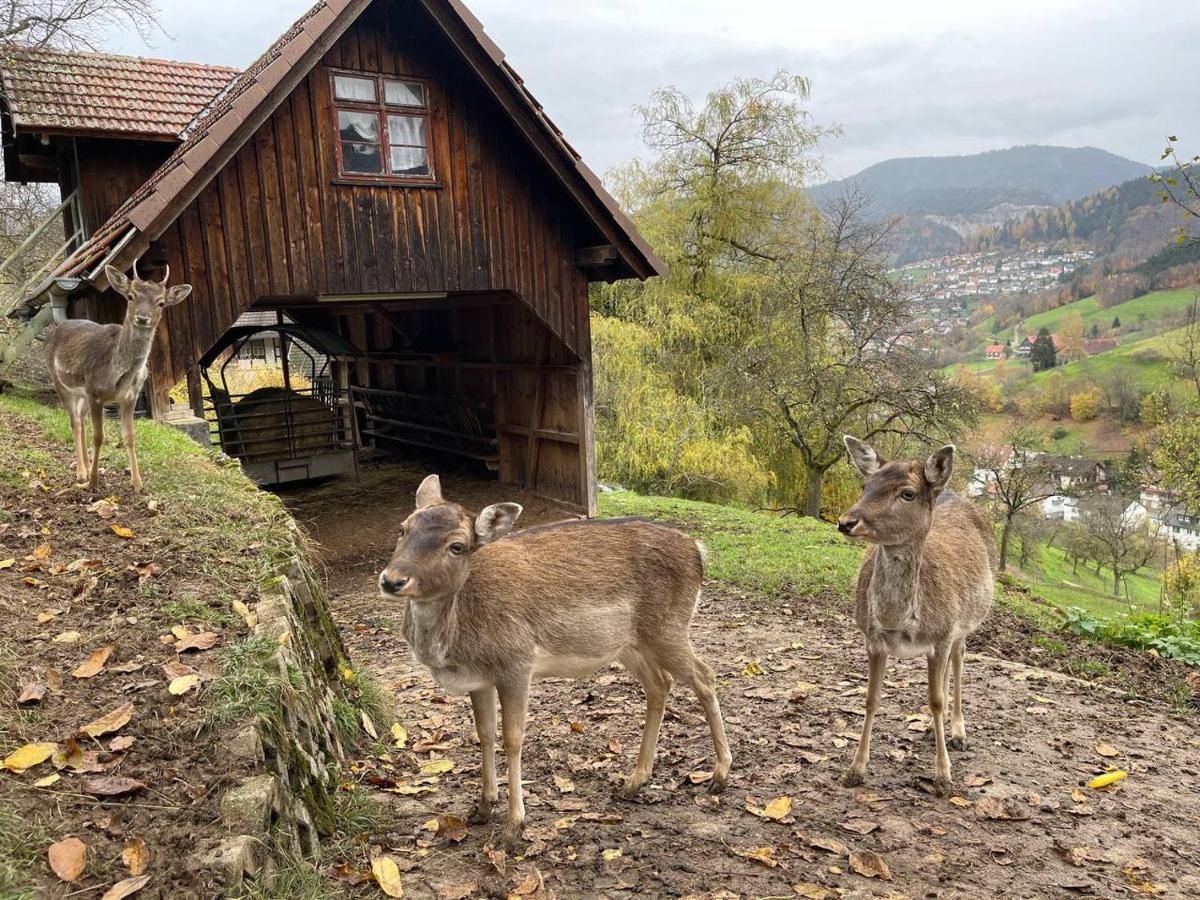 Einzigartiges Apartment, Mitten In Der Natur Ottenhofen im Schwarzwald Εξωτερικό φωτογραφία