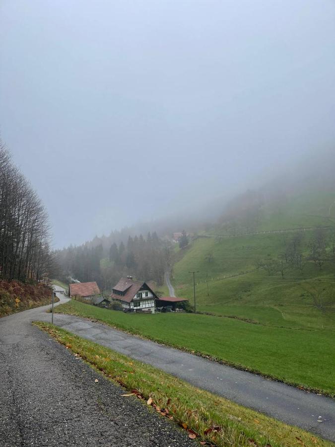 Einzigartiges Apartment, Mitten In Der Natur Ottenhofen im Schwarzwald Εξωτερικό φωτογραφία