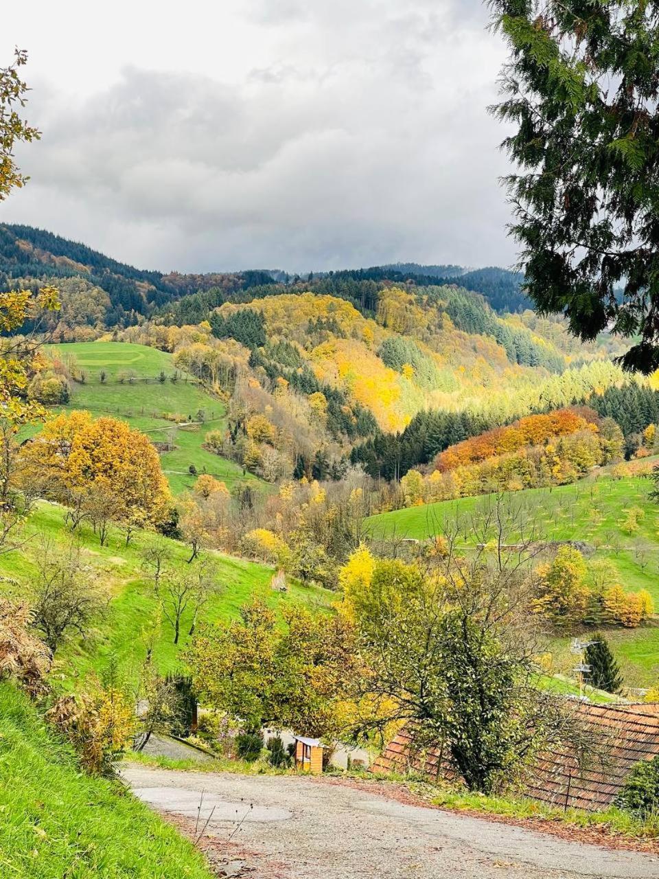 Einzigartiges Apartment, Mitten In Der Natur Ottenhofen im Schwarzwald Εξωτερικό φωτογραφία